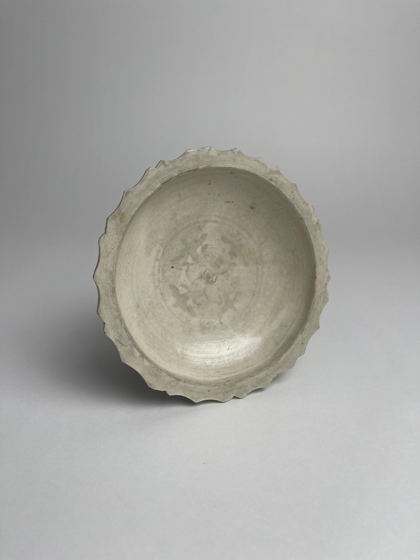 Dish