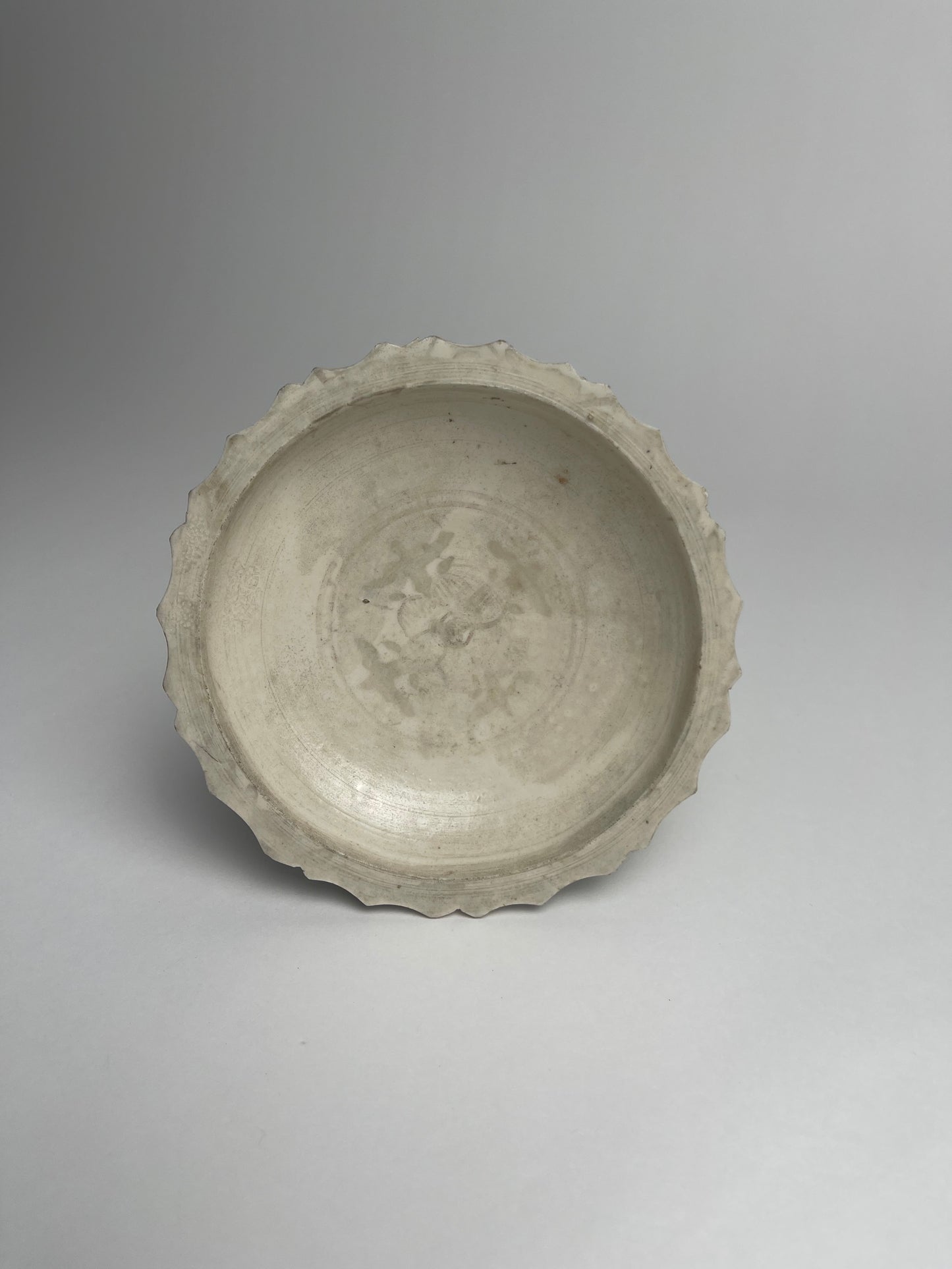Dish