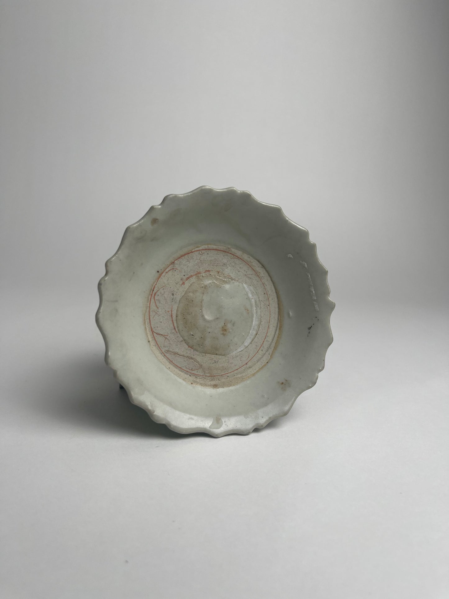 Dish