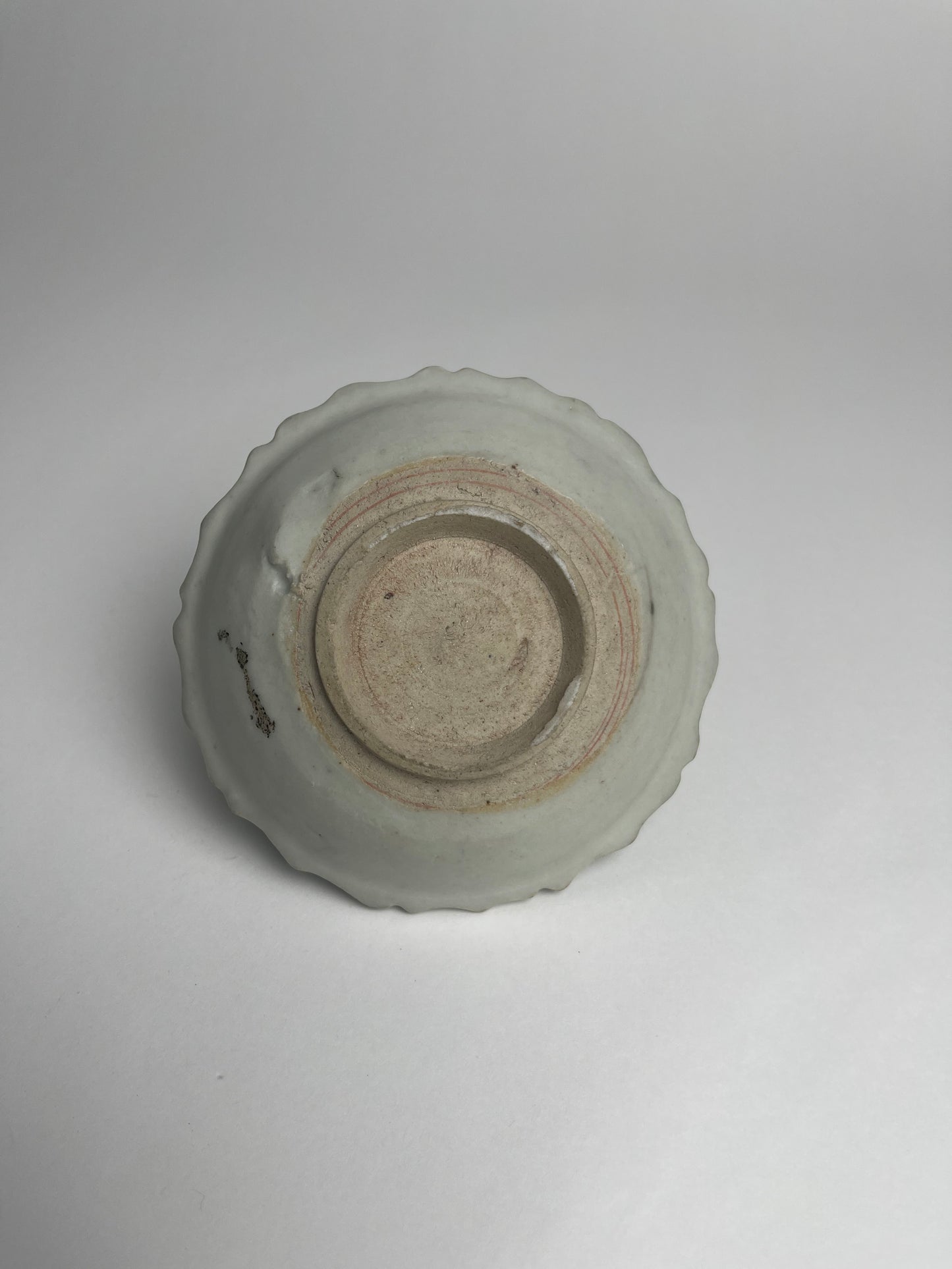 Dish