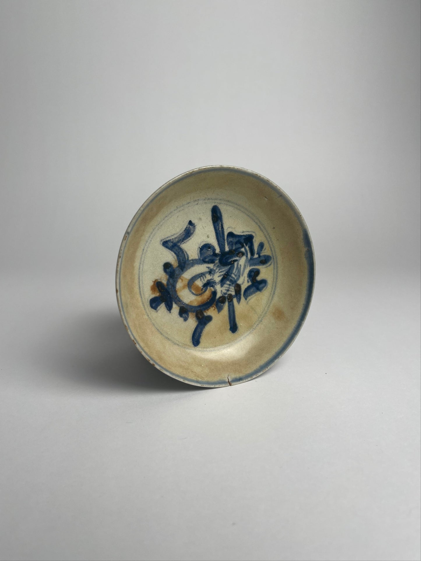 Blue & White Dish