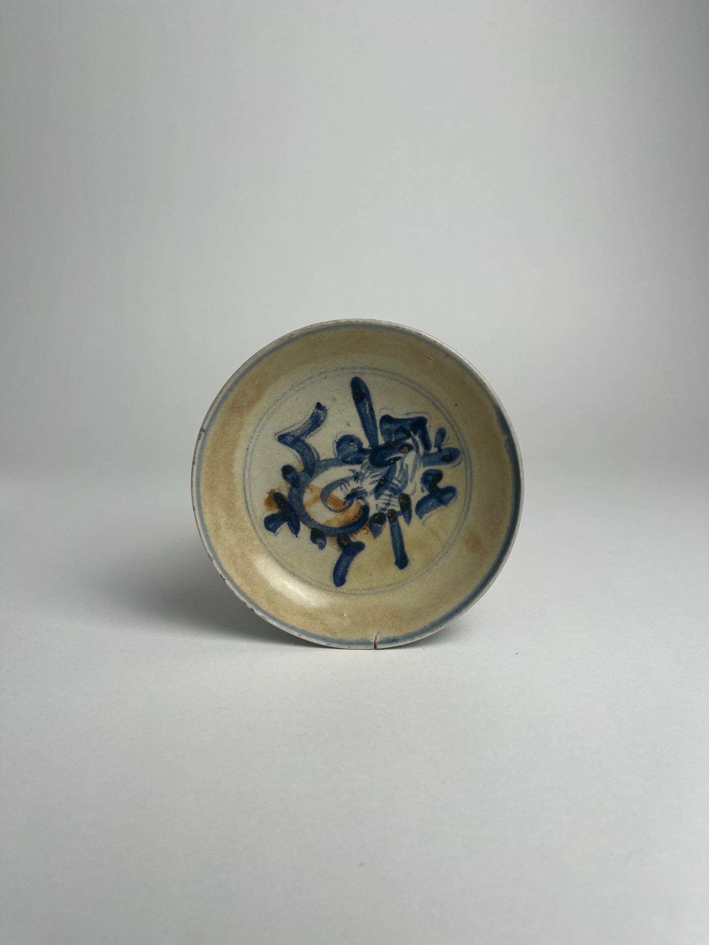 Blue & White Dish