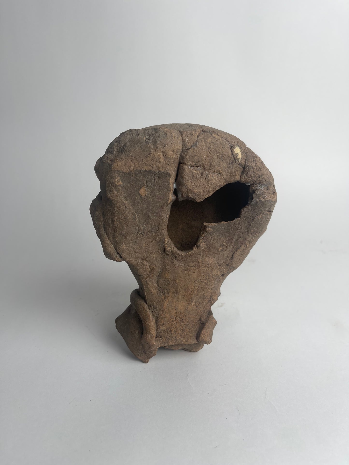Head