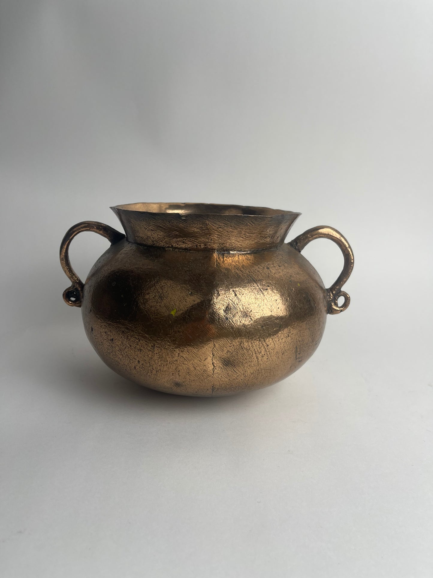 Bronze Grape