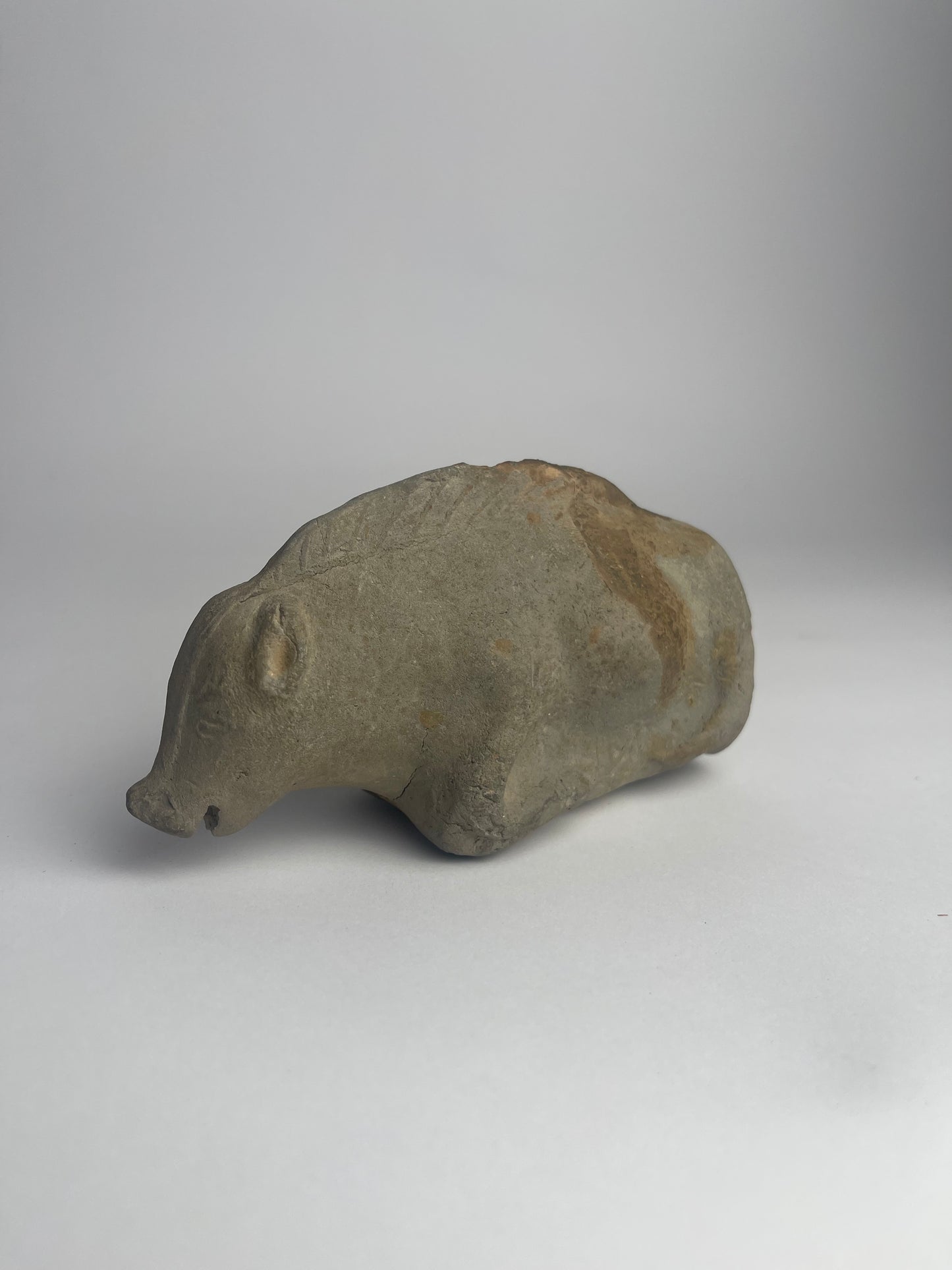 Ceramic Boar