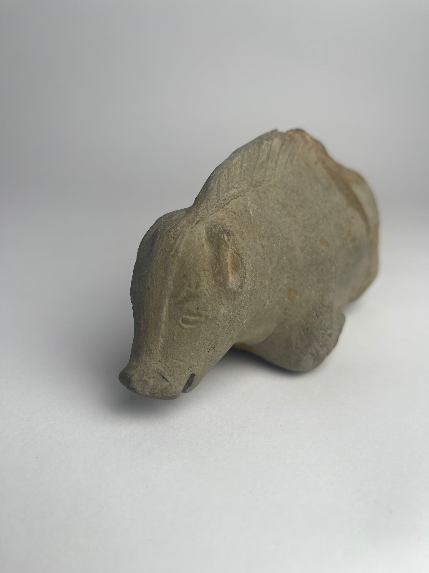 Ceramic Boar