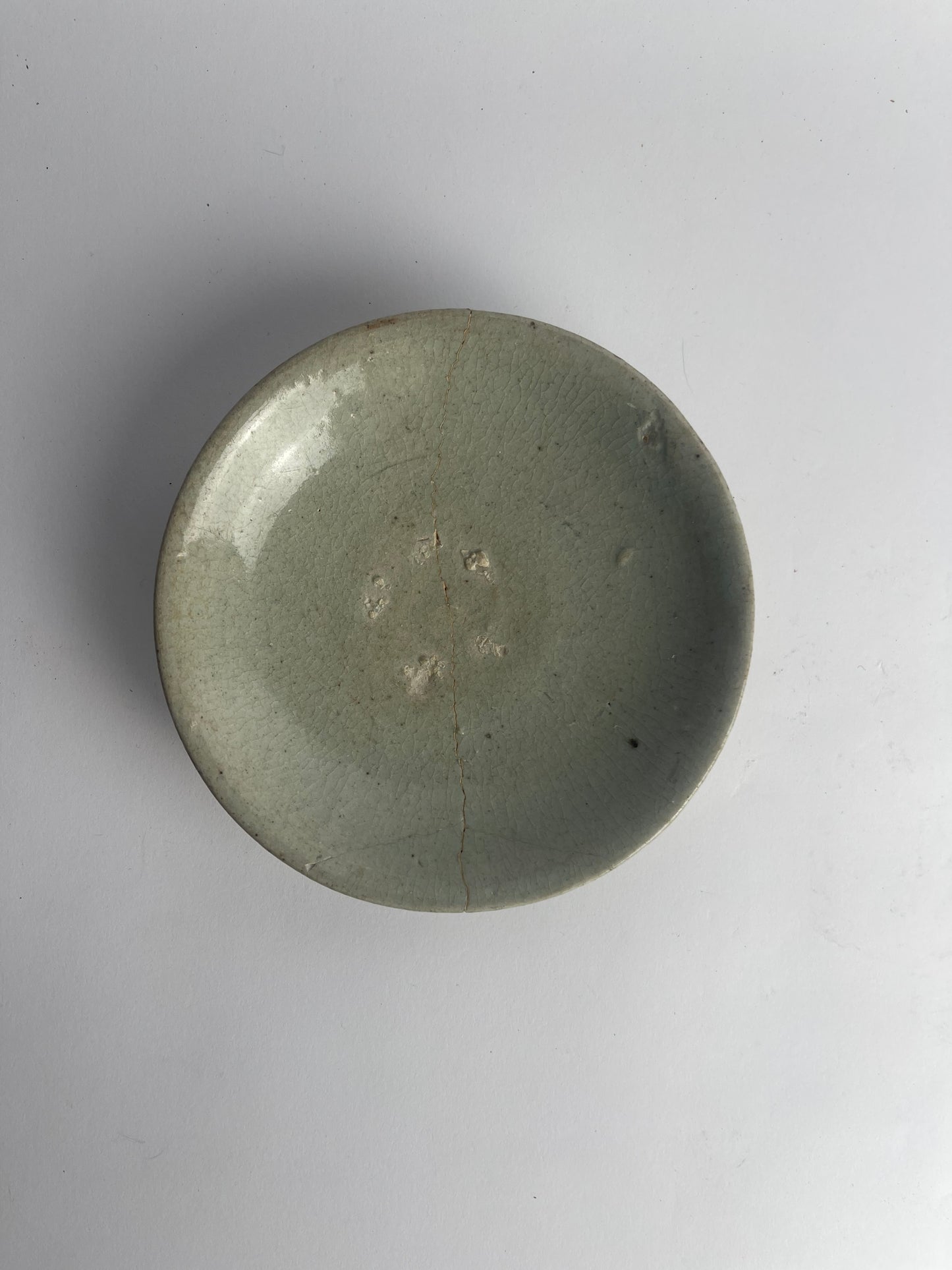 Dish