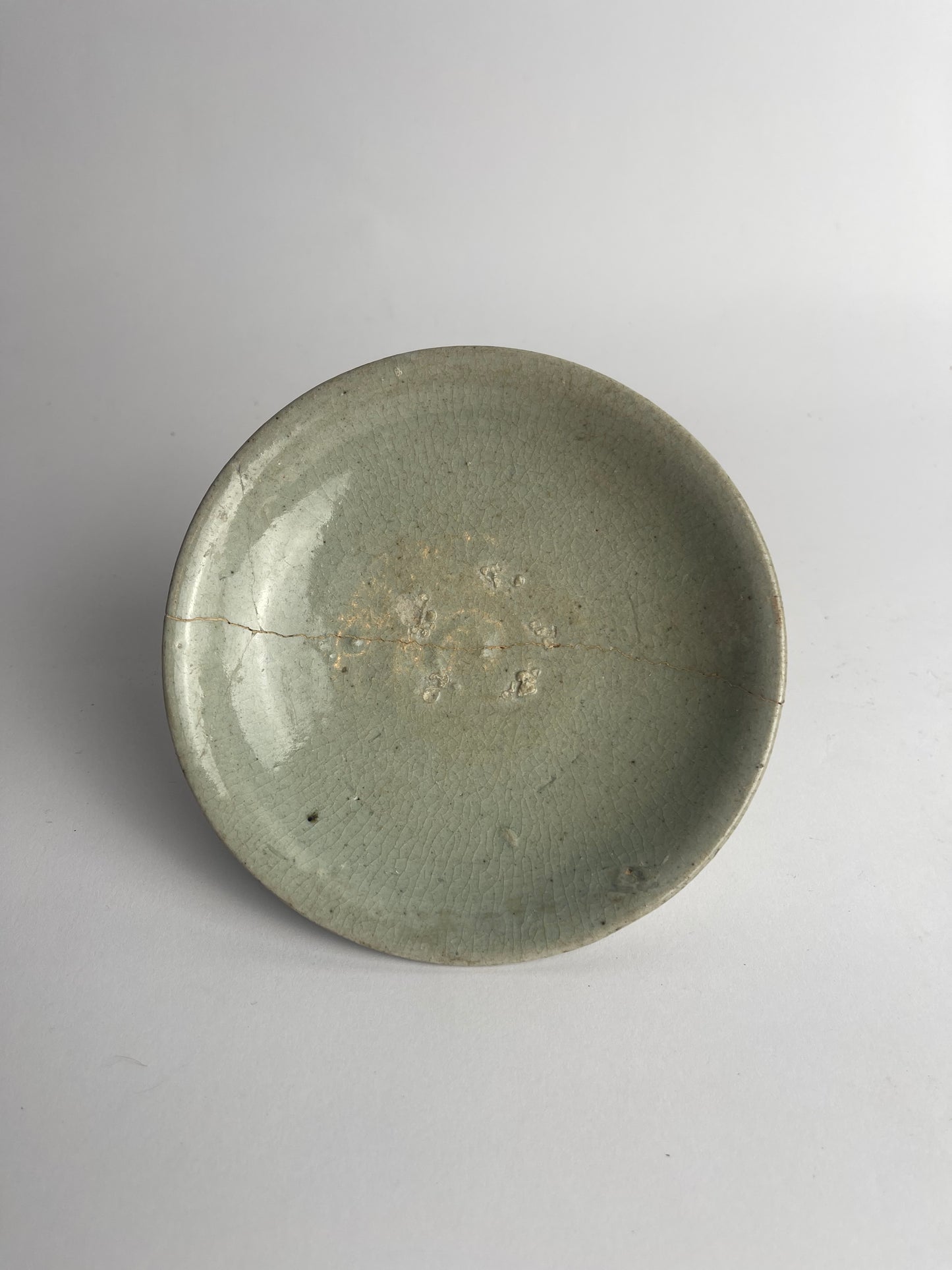 Dish