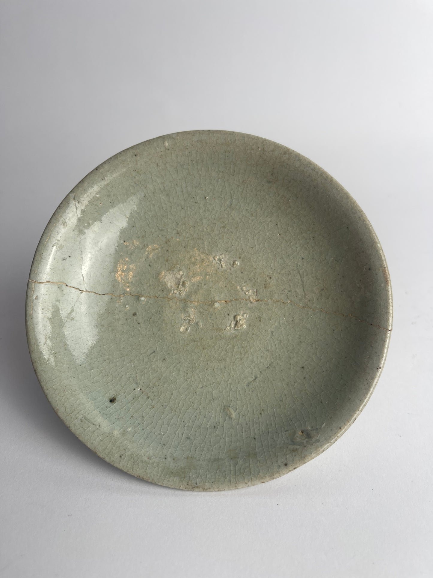 Dish