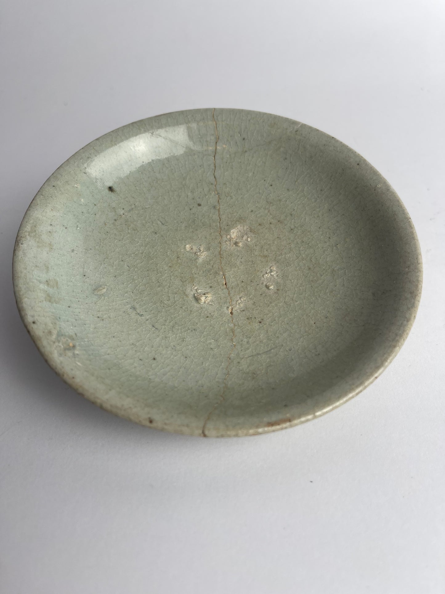Dish