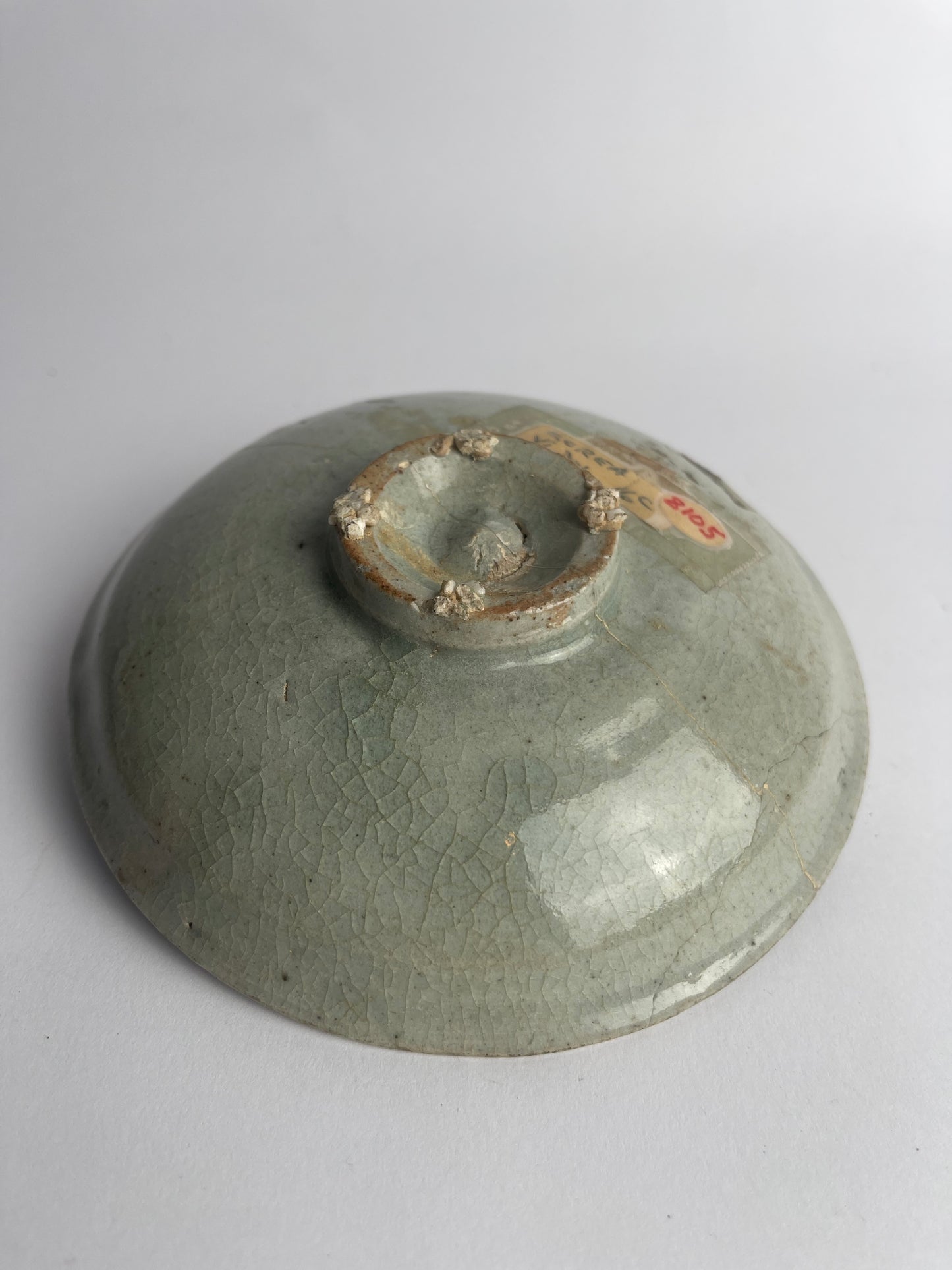 Dish