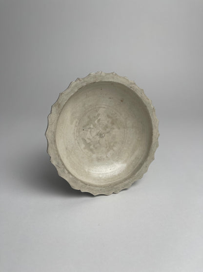 Dish