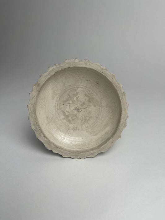 Dish