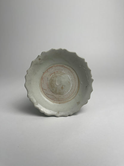 Dish