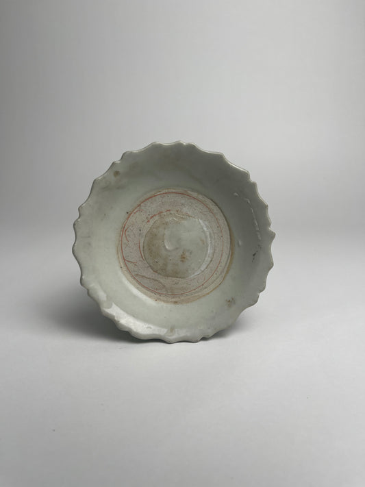 Dish
