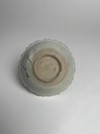Dish