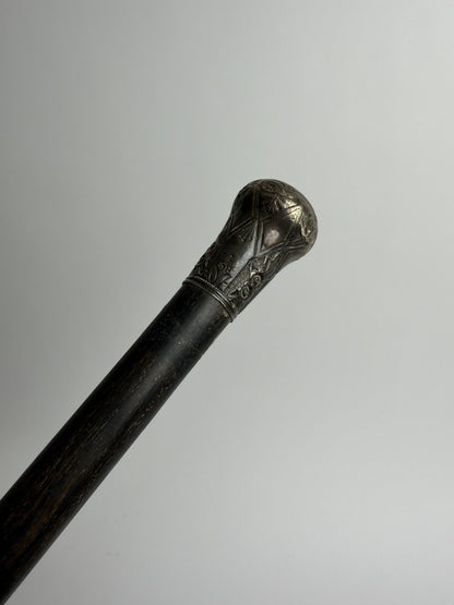 Silver Ball-Top Cane