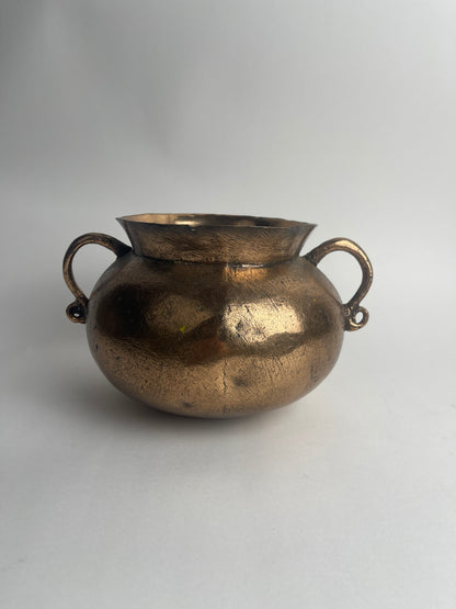 Bronze Grape