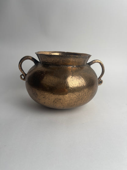 Bronze Grape