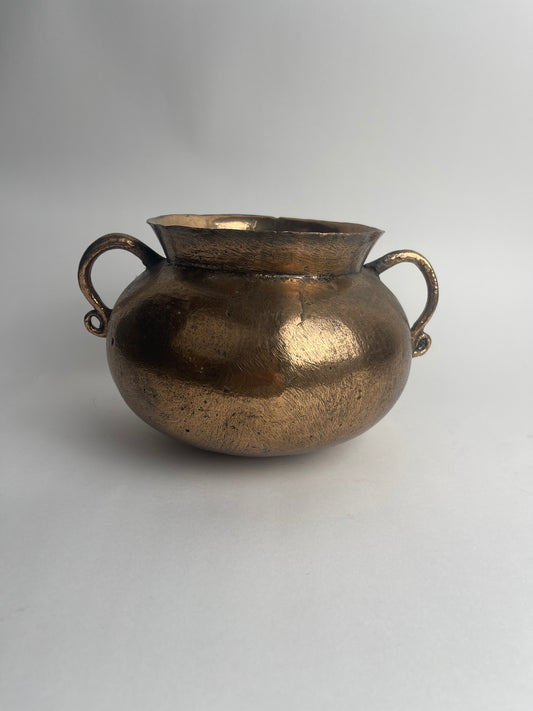 Bronze Grape