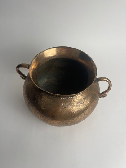 Bronze Grape