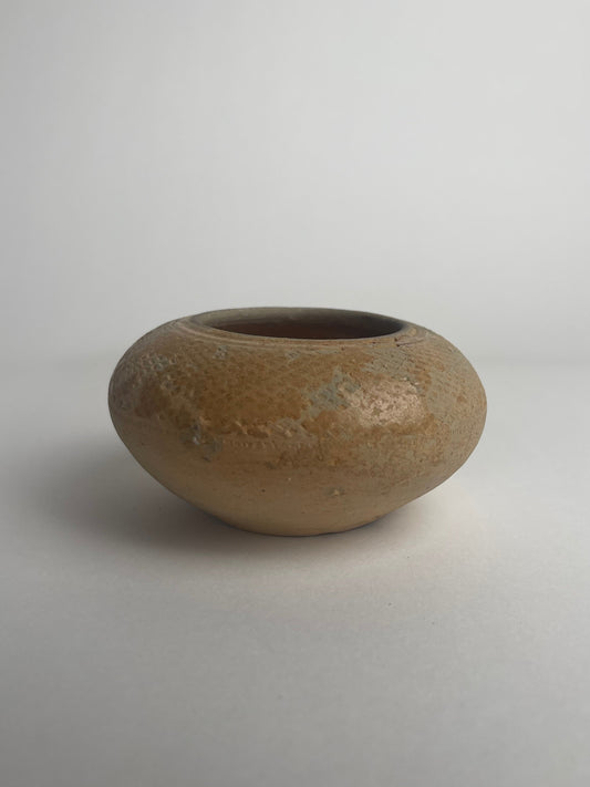 Water Pot