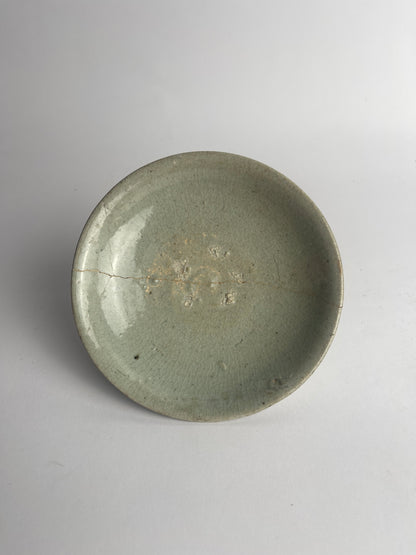 Dish