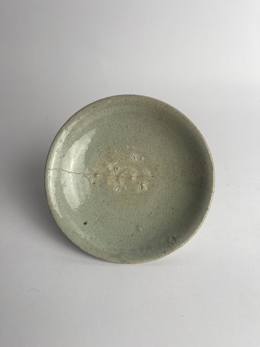 Dish