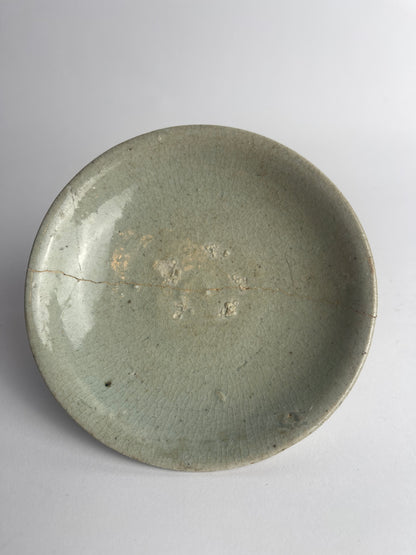 Dish