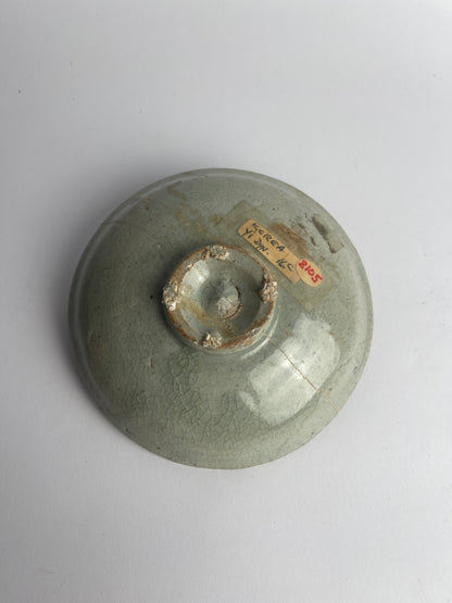 Dish