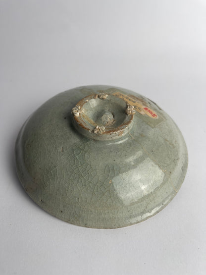 Dish