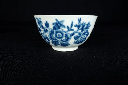 Worcester Cup and Saucer