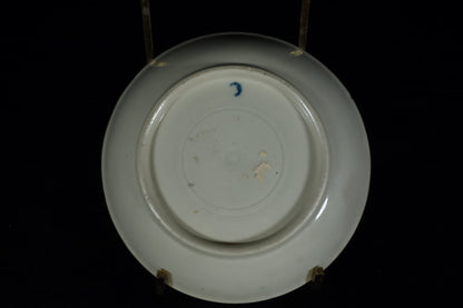 Worcester Cup and Saucer