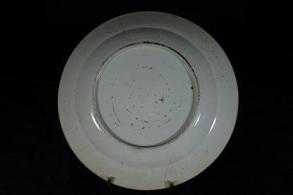 Chinese Export Plate