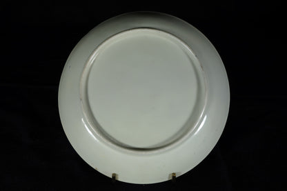 Worcester Plate  in the manner of James Giles