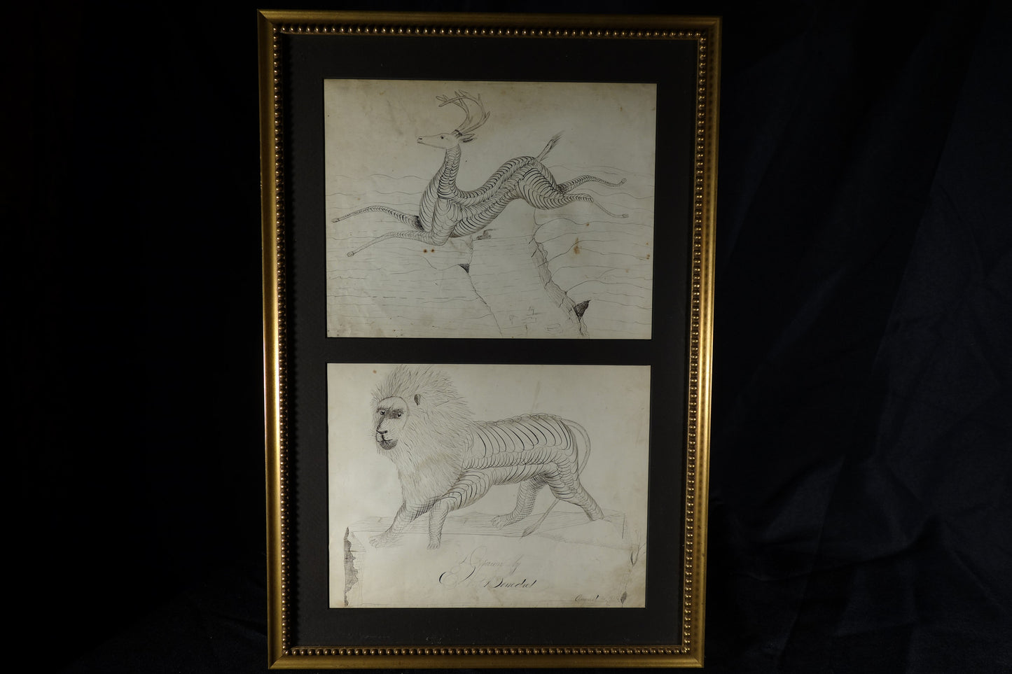 Stag and lion Calligraphies