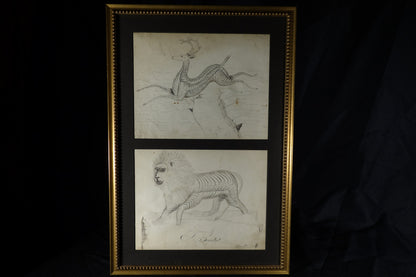 Stag and lion Calligraphies