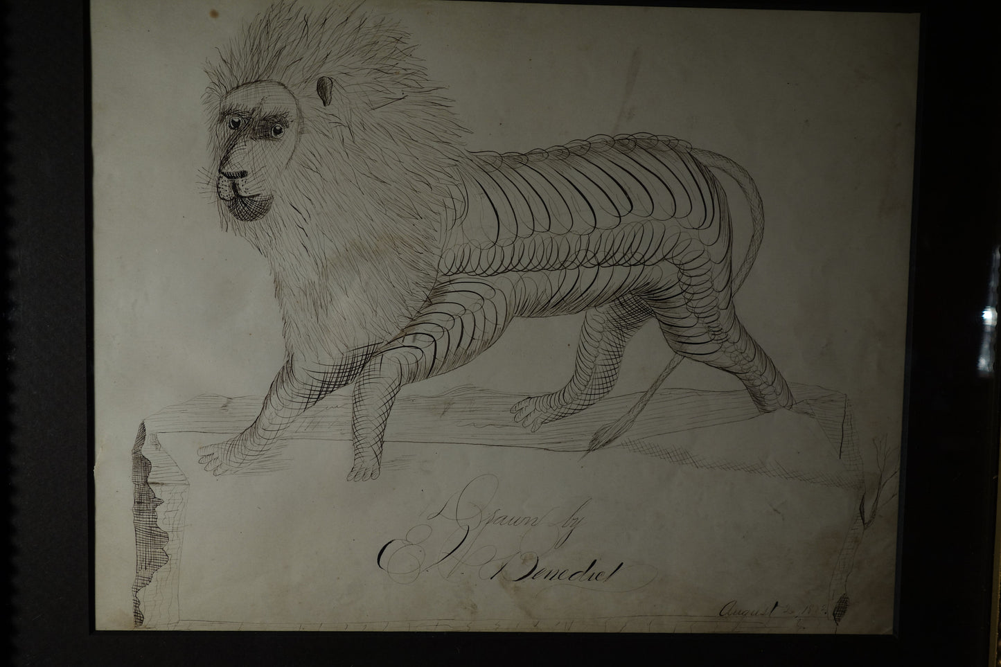 Stag and lion Calligraphies