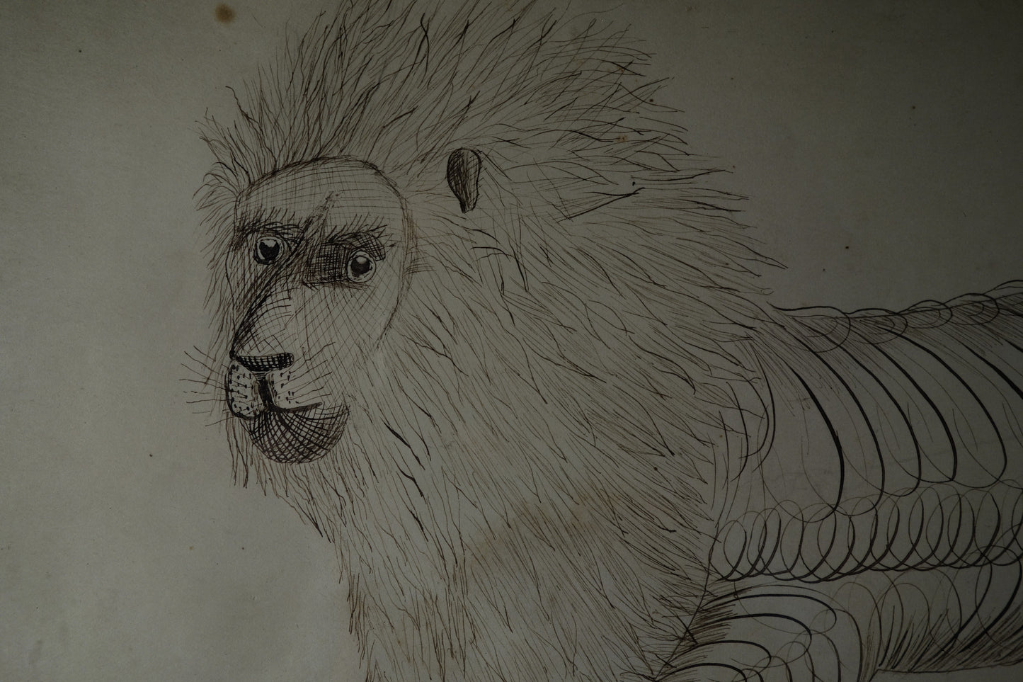 Stag and lion Calligraphies
