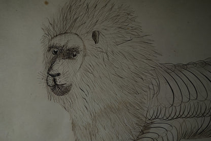 Stag and lion Calligraphies