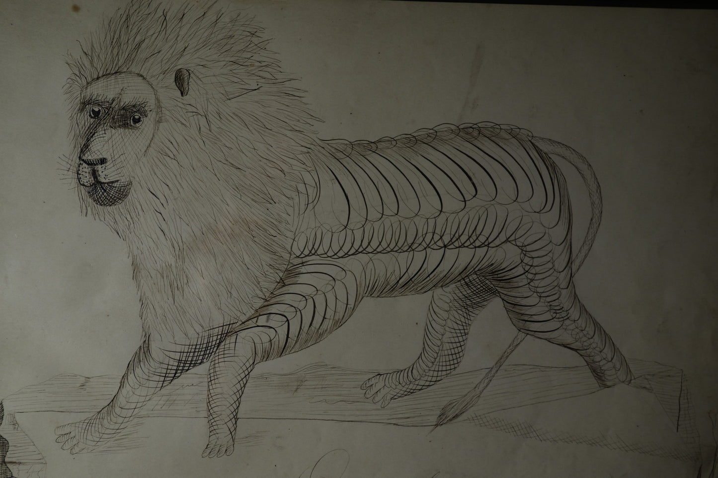 Stag and lion Calligraphies