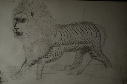 Stag and lion Calligraphies