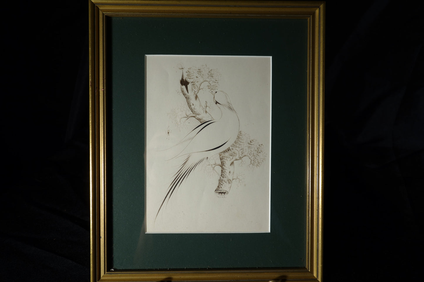 Drawing of Bird