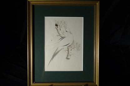 Drawing of Bird