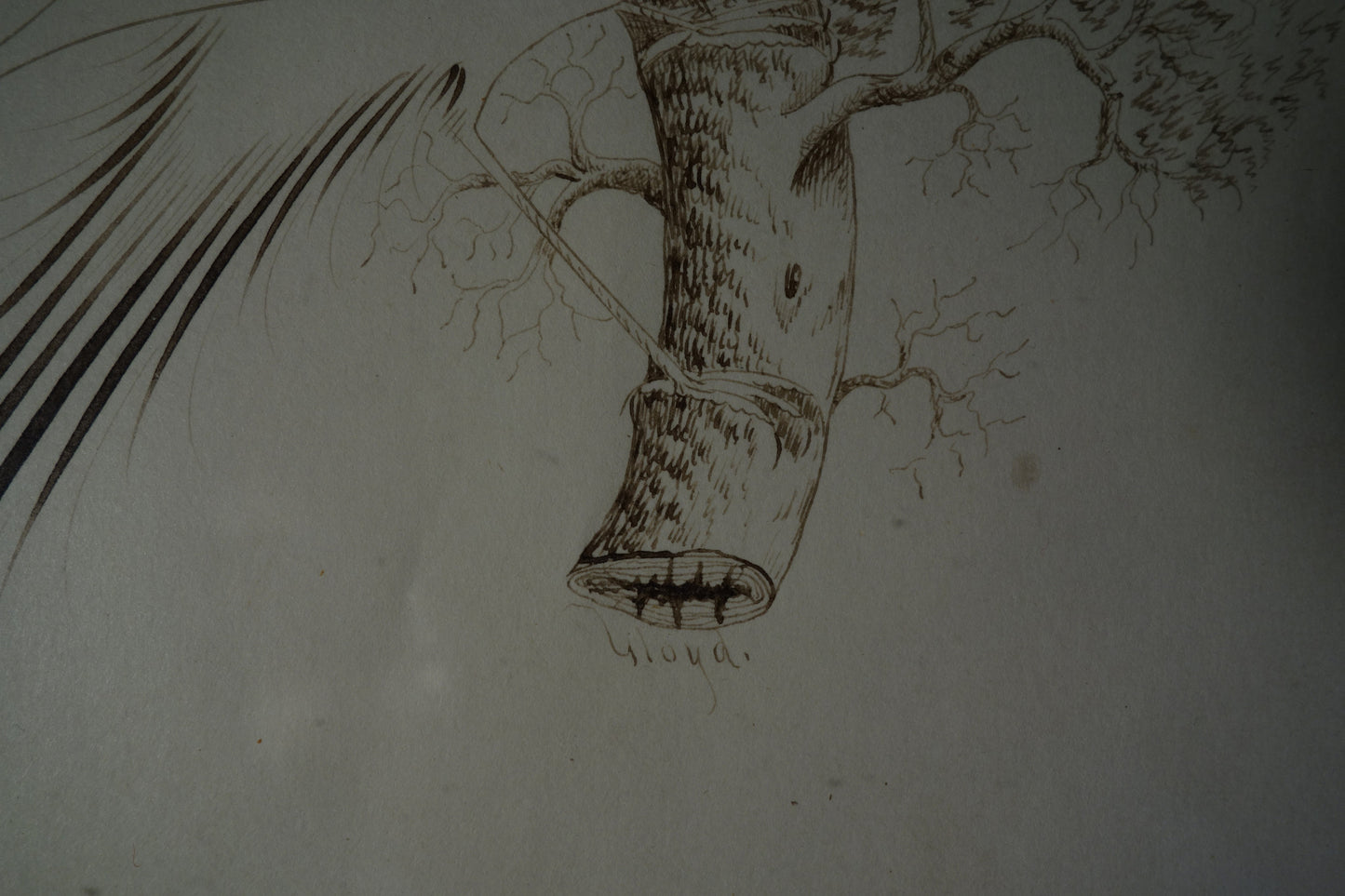 Drawing of Bird