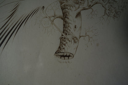Drawing of Bird