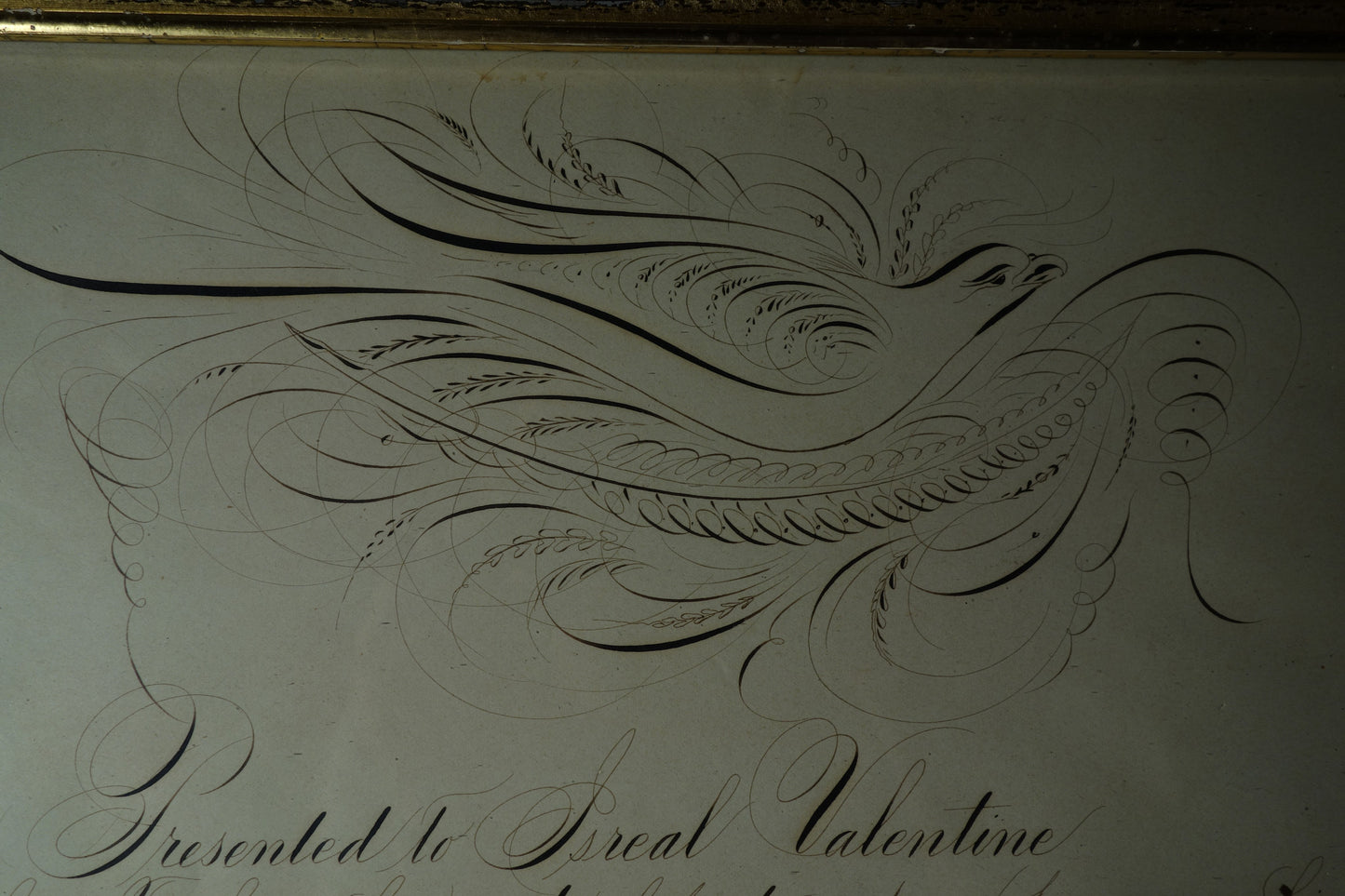Calligraphy Dove Award