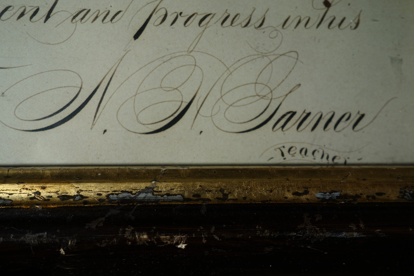 Calligraphy Dove Award