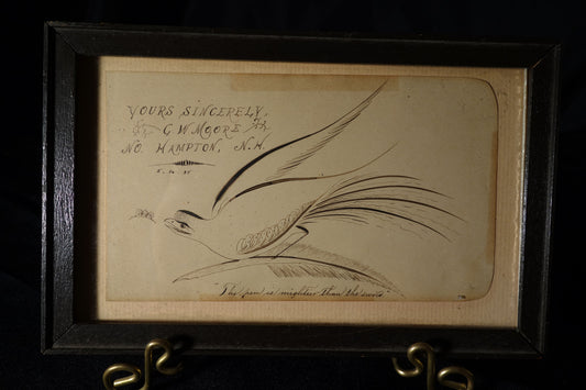 Calligraphy Bird on Feather