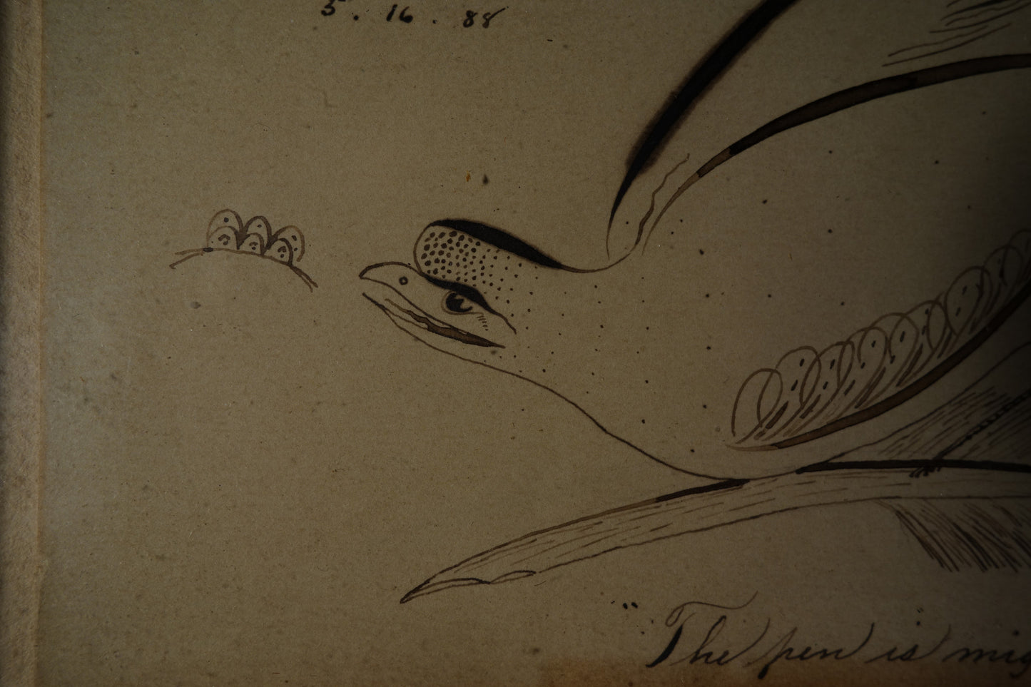 Calligraphy Bird on Feather
